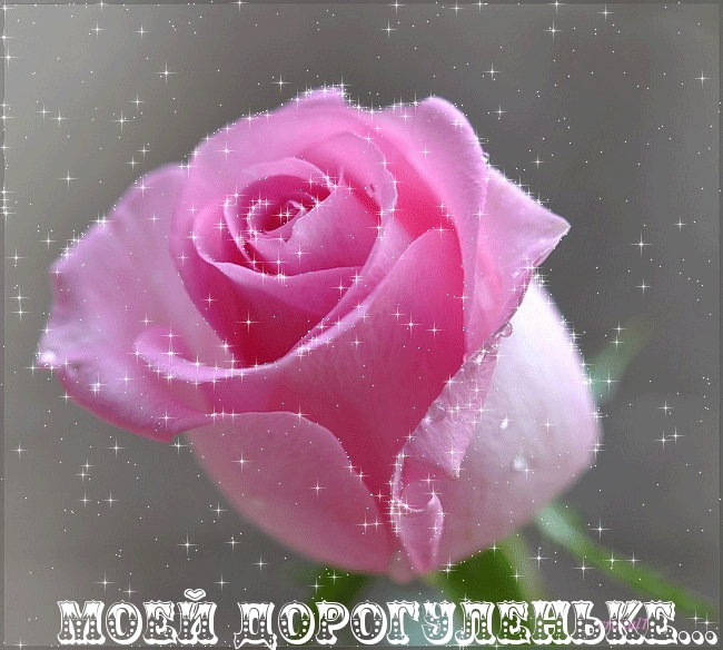 МОЕЙ ДОРОГУЛЕНЬКЕ…