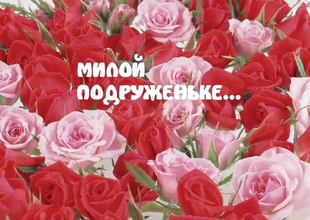МИЛОЙ  ПОДРУЖЕНЬКЕ…