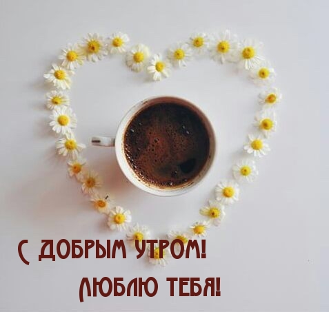 Люблю тебя!