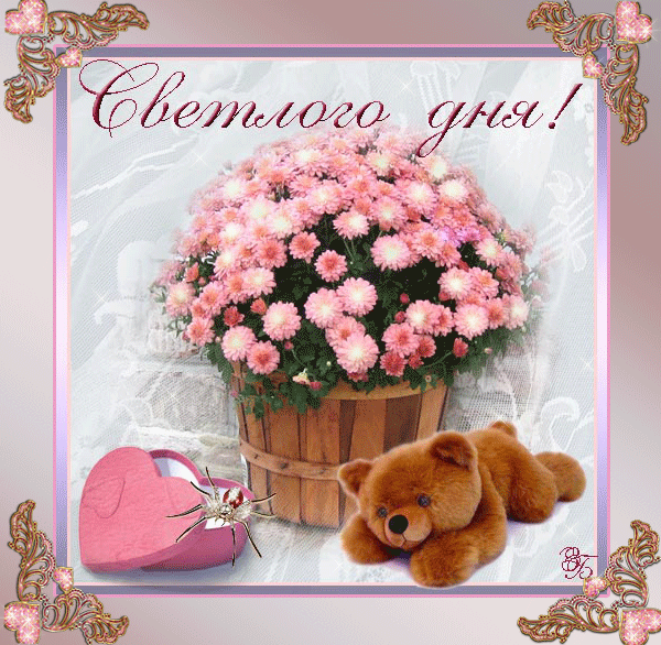 Светлого дня!