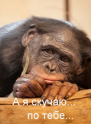 Скучаю  по тебе…