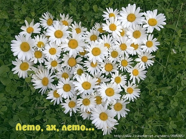 Лето, ах, лето…
