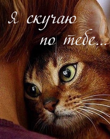 Скучаю  по тебе…