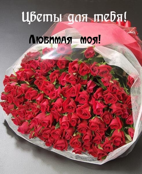 Для тебя, любимая