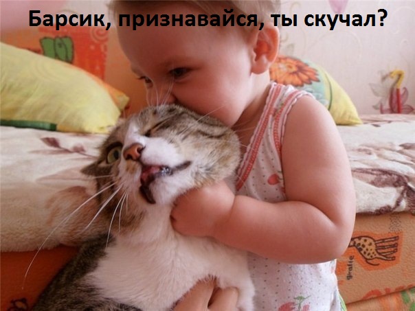 ты скучал?