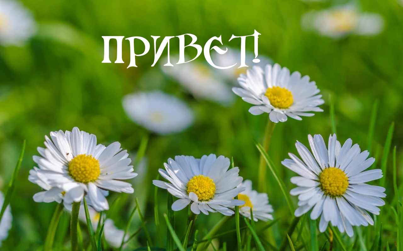 ПРИВЕТ!