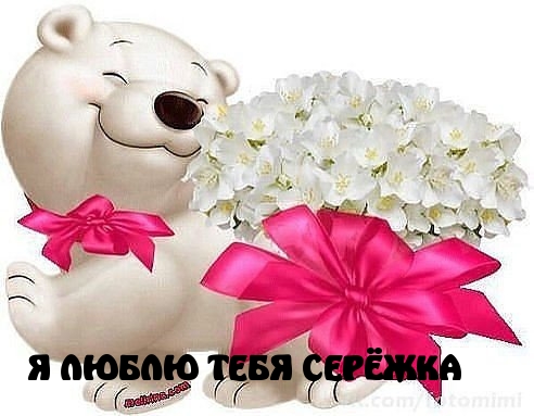Я ЛЮБЛЮ ТЕБЯ СЕРЁЖКА
