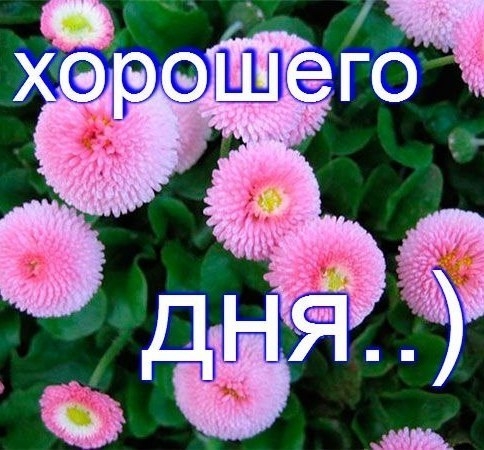 Хорошего дня