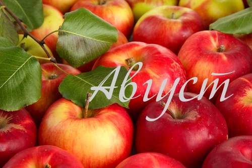 Август
