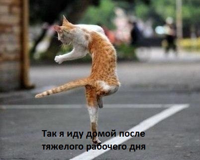 Я иду домой