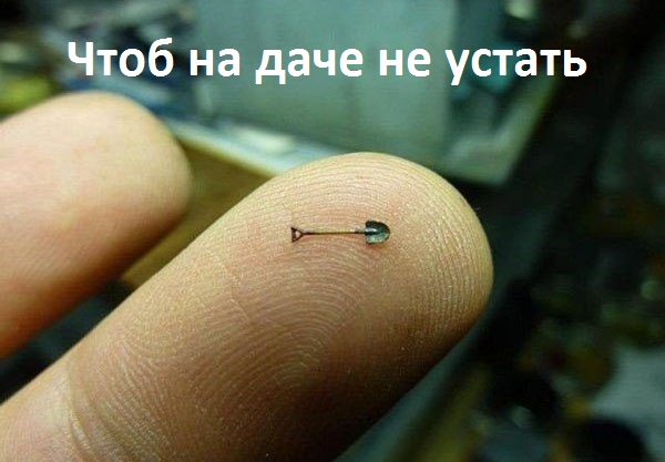 Картинки с надписями.  Чтоб на даче не устать.