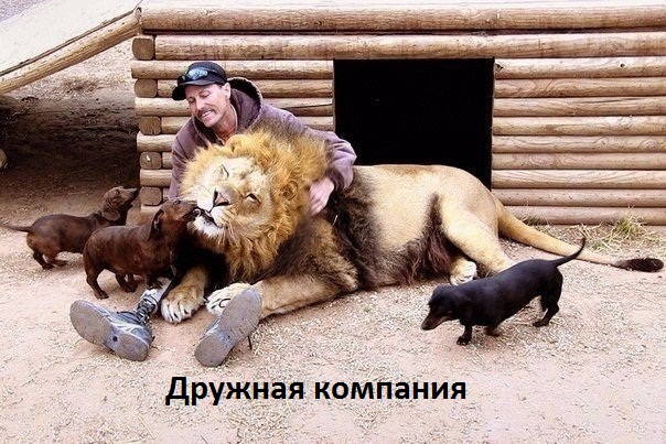 Дружная компания