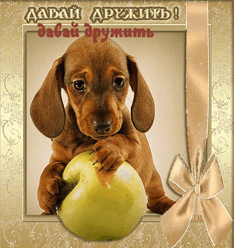давай дружить