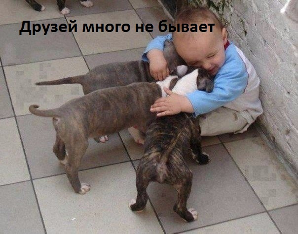 Друзей много не бывает