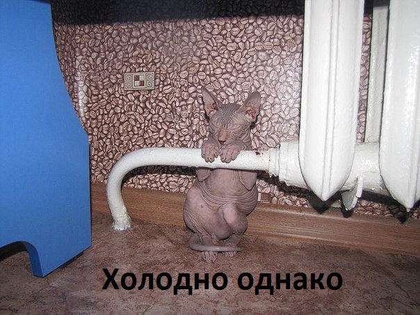 Холодно однако