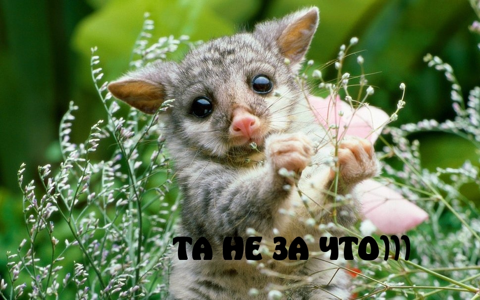 ТА НЕ ЗА ЧТО
