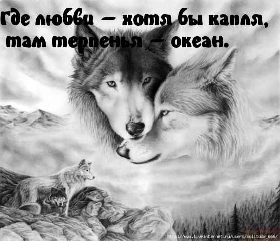 Терпению предшествует любовь