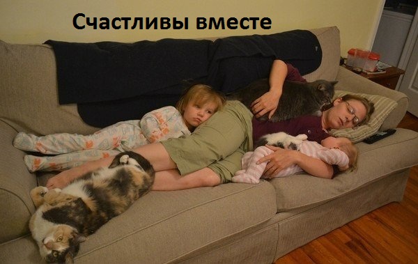Счастливы вместе