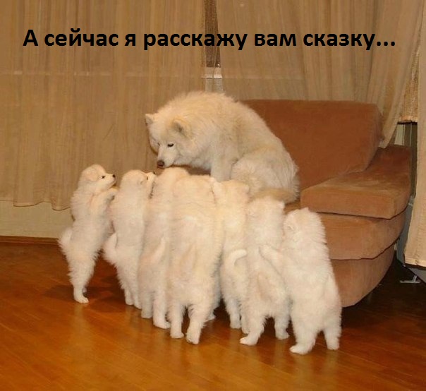 Рассказывает сказку