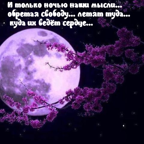 Ночью мыслят свободно улетают