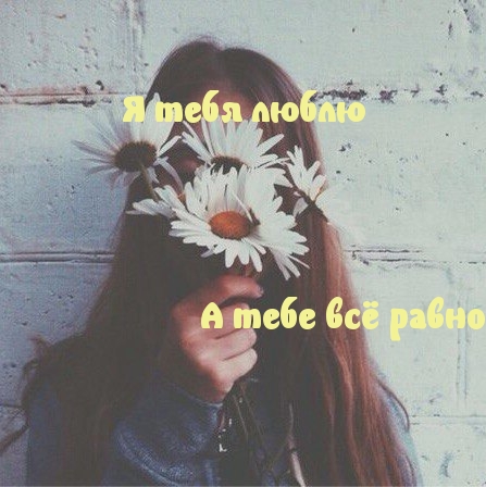 Я тебя люблю