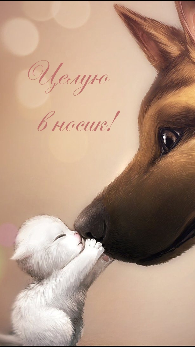 Целую в носик!