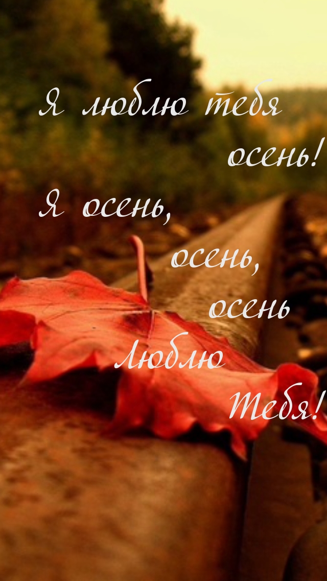 Люблю тебя, осень!