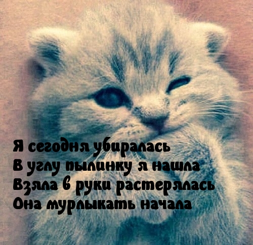 Мурлычащая пылинка
