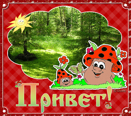 Привет  — бесплатно скачать