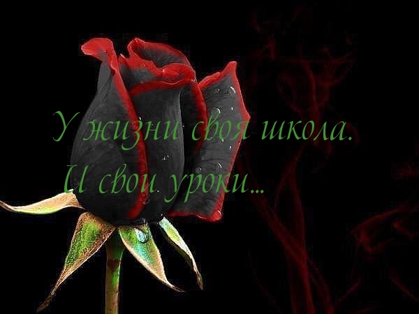 Жизненные уроки