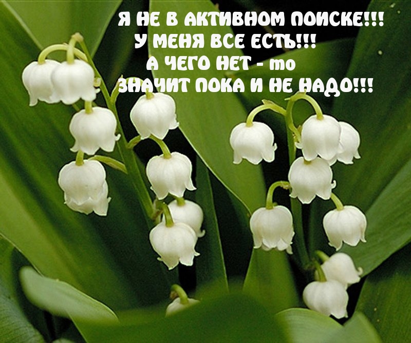 Не ищу себе никого!