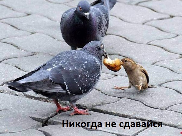 Верь в себя