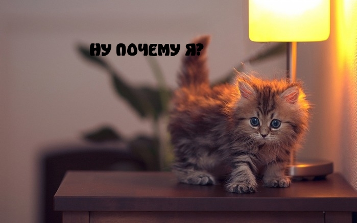 НУ ПОЧЕМУ Я?