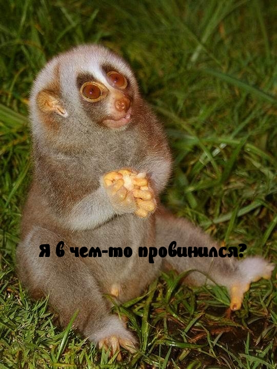 Я в чем-то провинился?