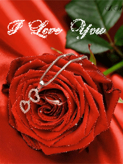 I love you