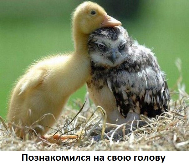 Знакомство