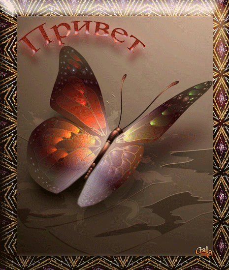 Привет  — красивые картинки