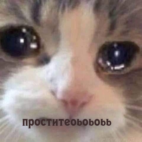проститеоьоьоьь