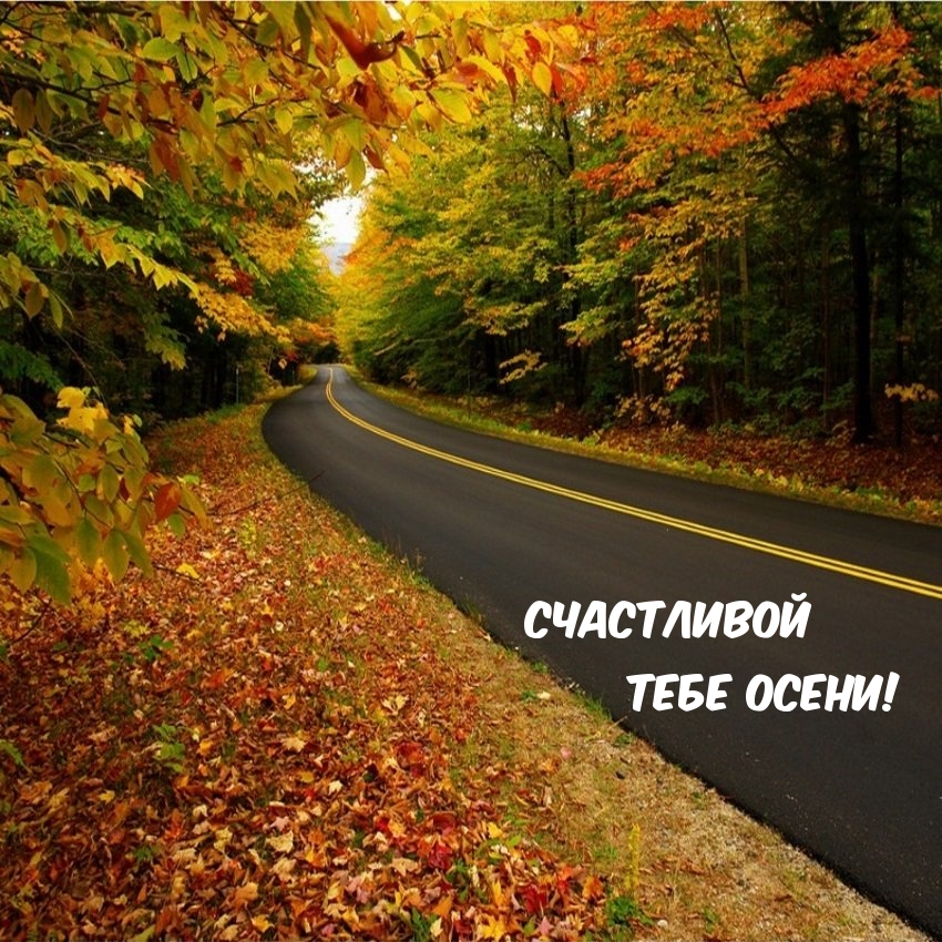 Счастливой тебе осени!
