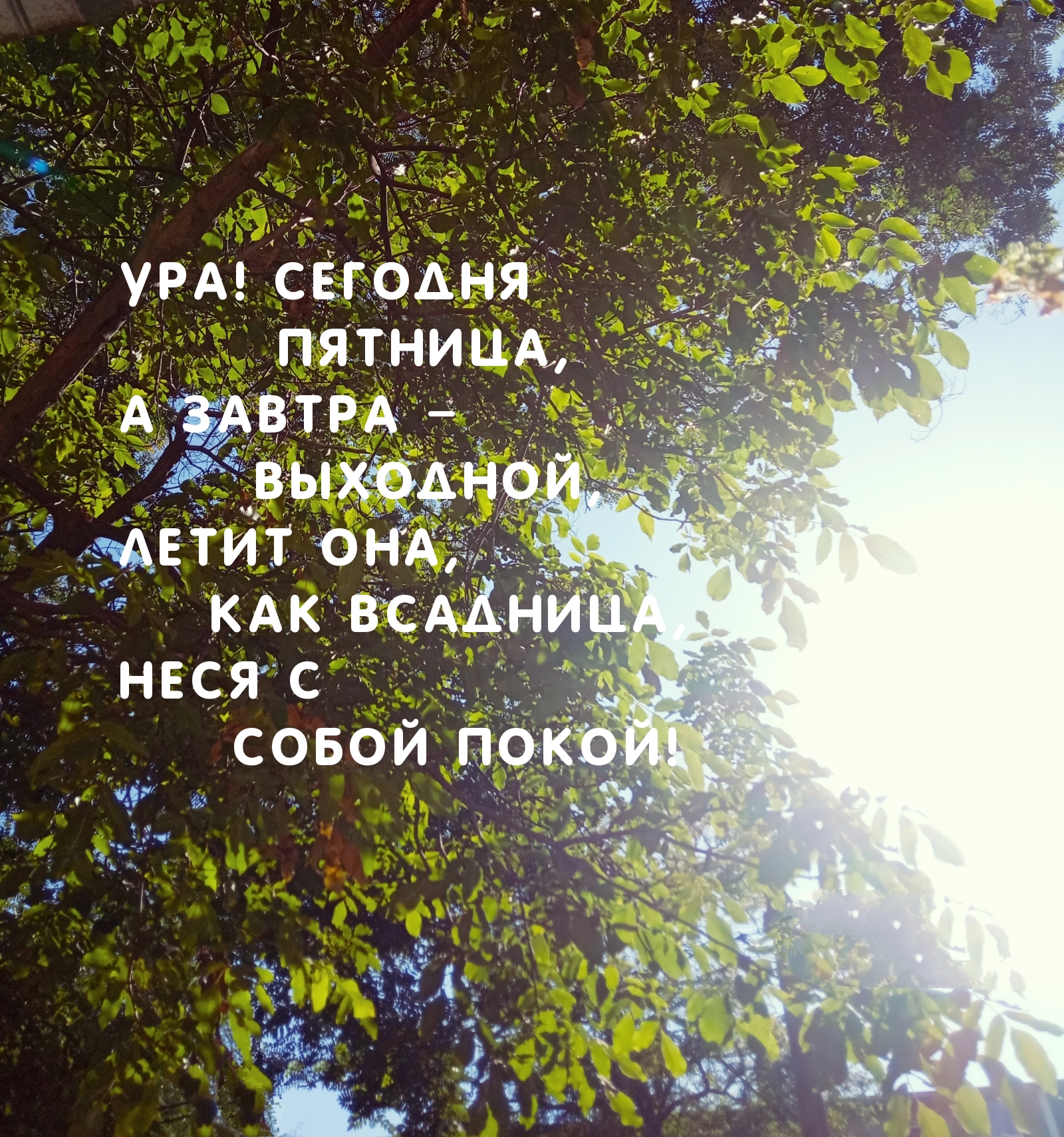 Ура! Сегодня пятница, а завтра – выходной