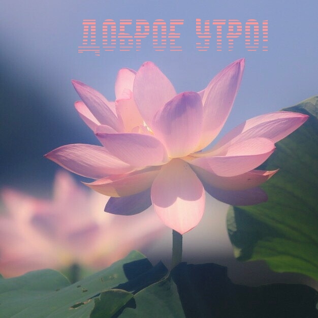 Доброе утро!