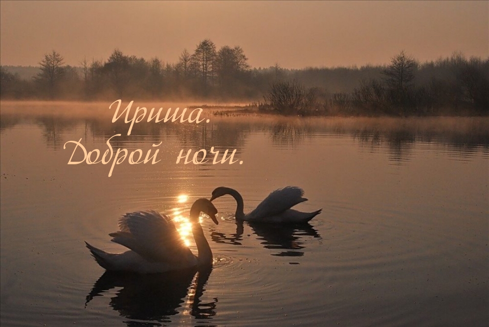 Ириша. Доброй ночи.