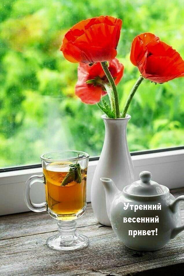 Утренний весенний привет!