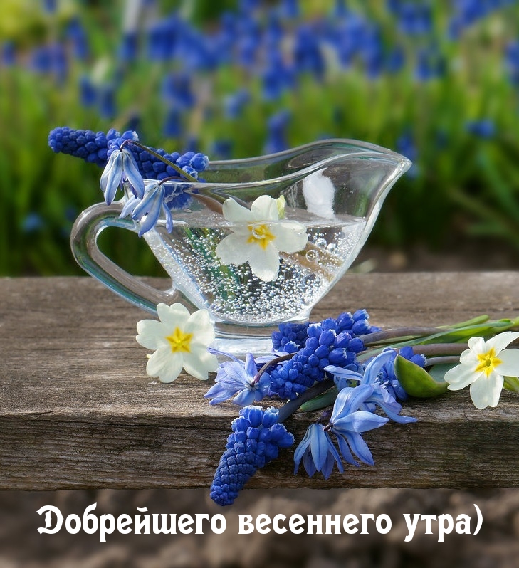 Добрейшего весеннего утра)