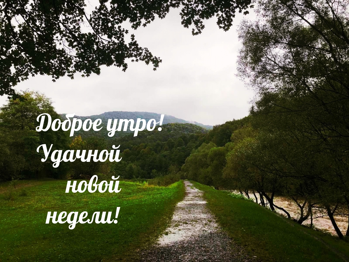 Доброе утро! Удачной новой недели!