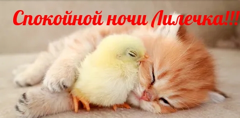 Спокойной ночи Лилечка!