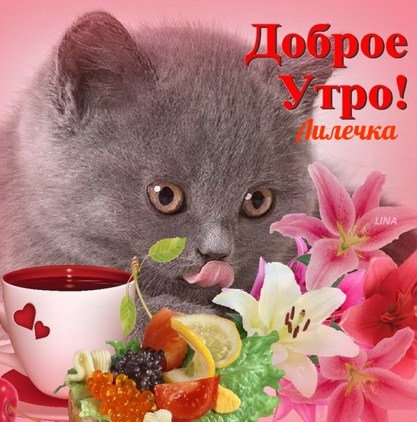 Доброе утро Лилечка!