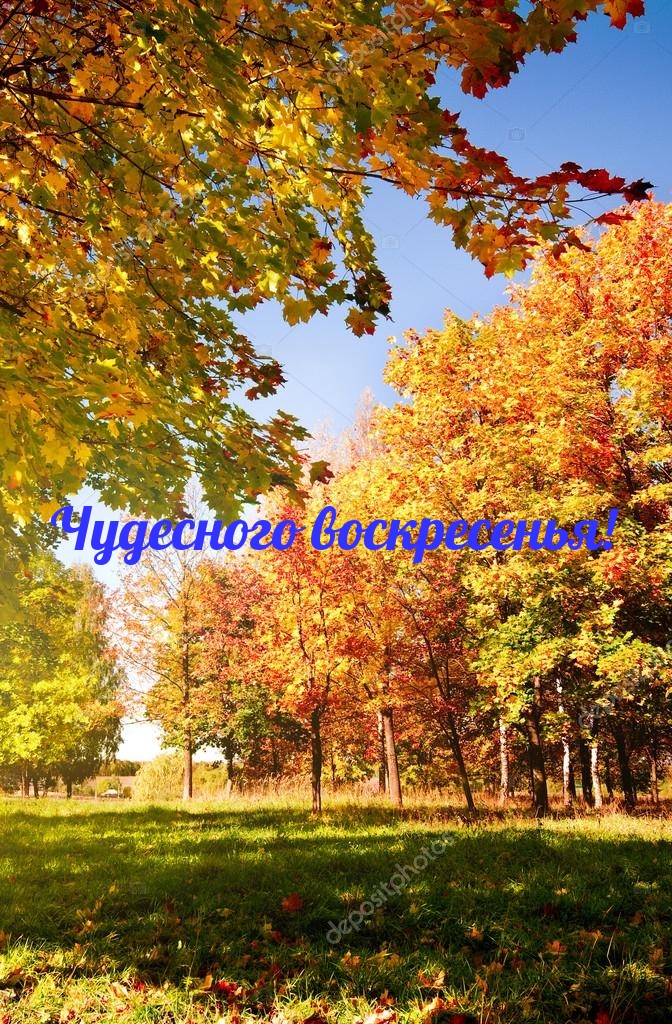 Картинки с надписями.  Чудесного воскресенья!.