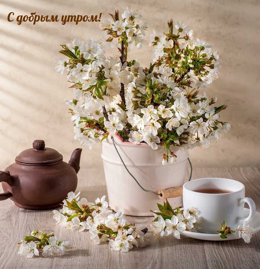 С добрым утром!
