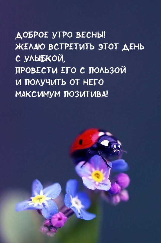 Доброе утро весны! Желаю встретить этот день с улыбкой